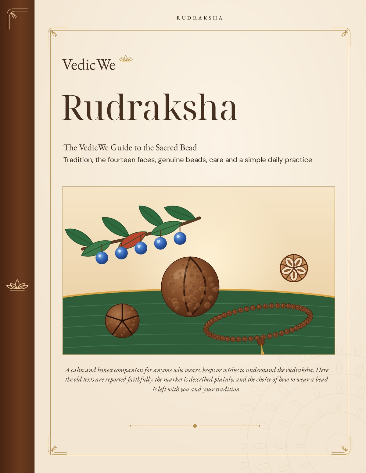 Rudraksha: The VedicWe Guide to the Sacred Bead cover